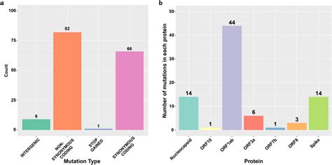 Bar Charts Showing Mutation Types And Mutations Affecting Protein A