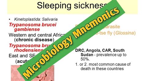 Microbiology Mnemonicsan Easy Key To Remember Lab Mnemonics Youtube