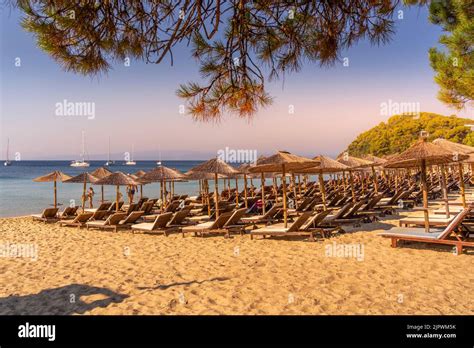 View of Koukounaries Beach at sunrise, Skiathos Town, Skiathos Island ...