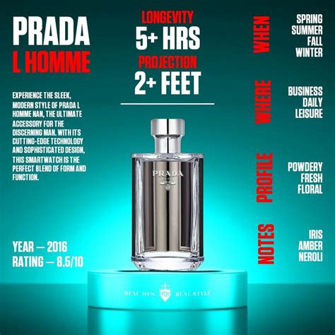 Fragrance Infographics In Best Perfume For Men Best Fragrance