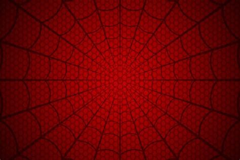 Spider Man Web Pattern Wallpaper for Boys - Magic Decor