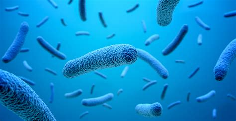 Landlords And Legionella What You Need To Know Phx Water