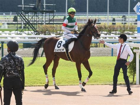 【メイクデビュー京都5rレース後コメント】エルサビオ中内田充正調教師ら 競馬ニュース Netkeiba