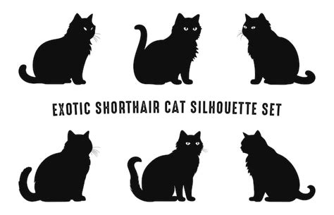 Exotische Kortharige Katten Ras Silhouettes Vector Set Zwarte Katten