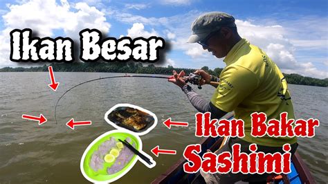 Mancing Bareng Pemancing Asal JEPANG Ikan Hasil Mancing Langsung Di