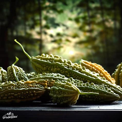 Ampalaya Bitter Gourd Mga Nakakabilib Na Health Benefits Alamin