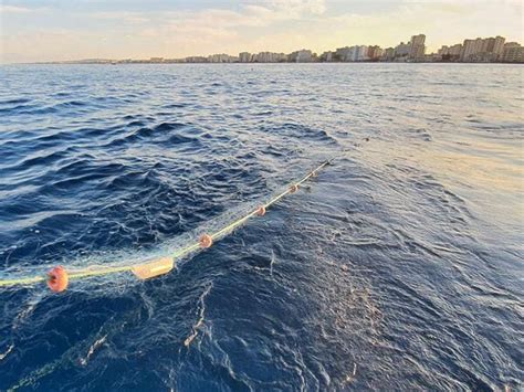 Particolari Luci Lampeggianti Sulle Reti Per La Cattura Accidentale