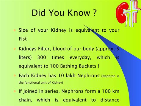 Know your kidney | PPT