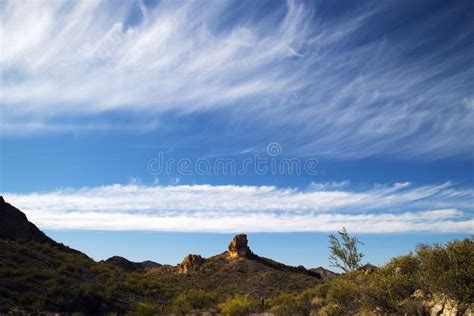 View Of The Sonoran Desert Stock Photo Image Of Environment 112755090