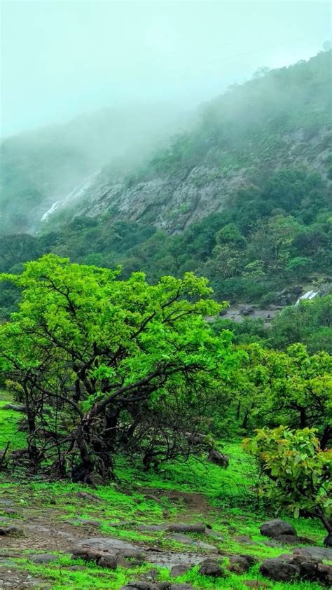 Lonavala, a Misty Paradise in Monsoon Season