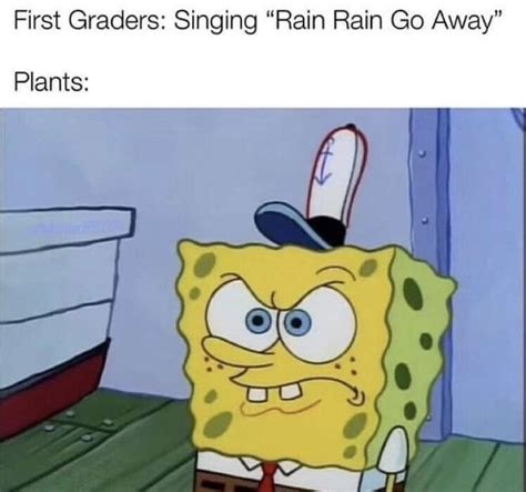 38 Dank Ecological Memes Because Nature Is Rad Memes Funny Funny Memes