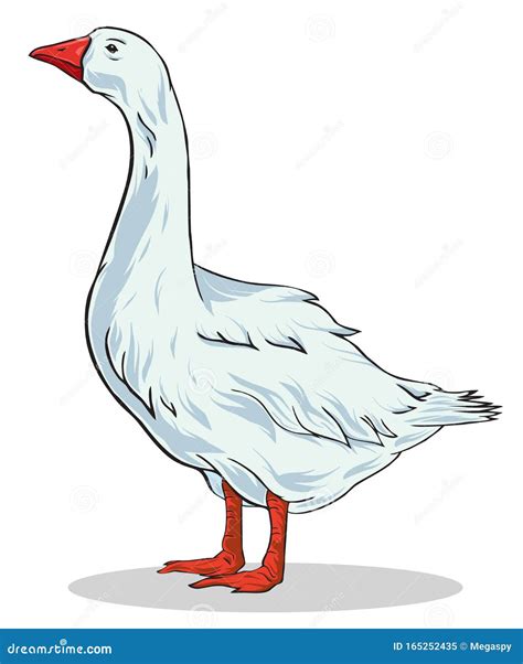 Colorful Vector Illustration Of Goose Stock Vector Illustration Of