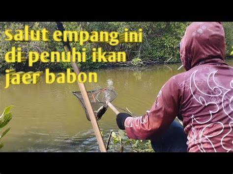 Sangat Menyesal Kalau Gak Mancing Disini Youtube