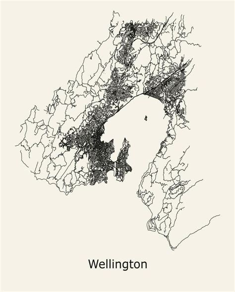 vector city road map  wellington  zealand  vector art