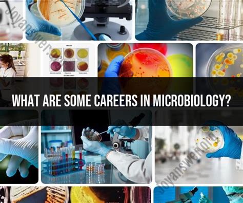 Careers In Microbiology Professional Opportunities