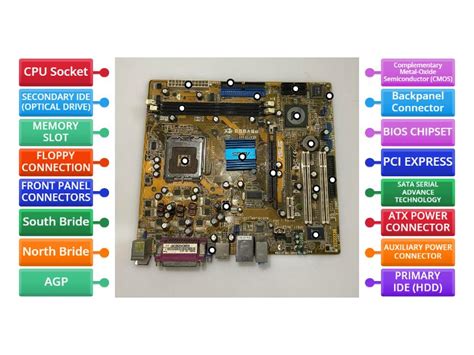 PARTS OF MOTHERBOARD - Labelled diagram