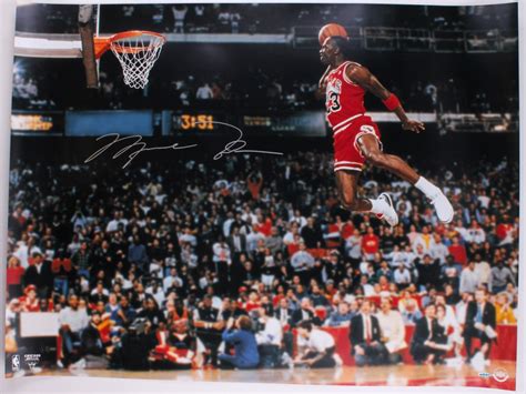 Michael Jordan Signature Dunk