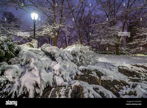 Central Park in winter Stock Photo - Alamy