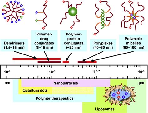 Classes Of Nanoscale Drug Delivery Systems Bottom Panel And Examples