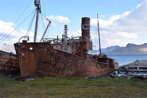 King Edward Point - South Georgia Island, South Georgia and the South ...