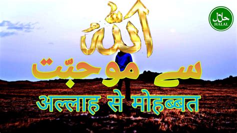 Allah Ko Pasand Hai Wo Dil Jisme New Islamic Quotes 2023 Urdu