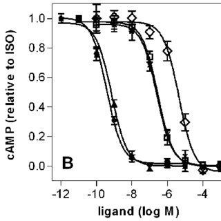 Concentration Response Curves For B Ar Antagonists Determined In The