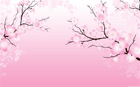 Anime Cherry Blossom Wallpaper - WallpaperSafari