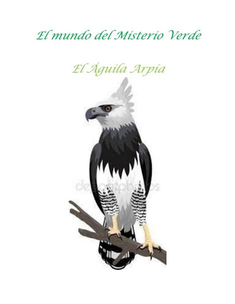 El Mundo Del Misterio Verde By Arlethcarrillo1007 Issuu