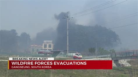 South Korea wildfire forces evacuations - YouTube