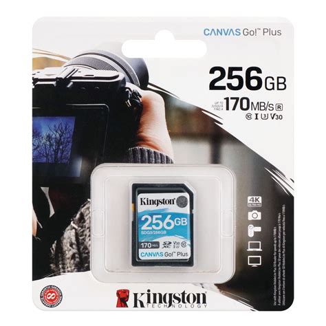 Buy Kingston 256GB 170MB S Canvas Go Plus SDG3 256GB Online At