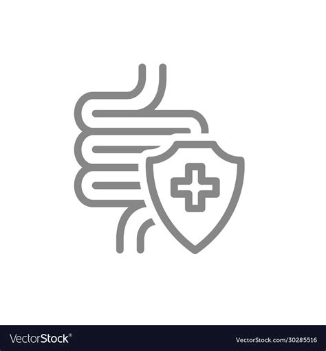 Healthy Protected Intestine Line Icon Digestive Vector Image