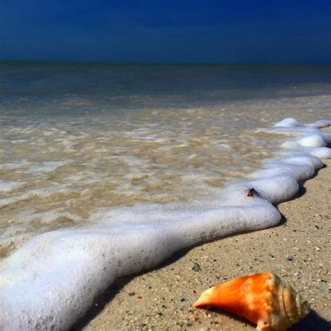 8 Unusual Things To Do in Fort Myers Florida