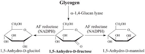 Ijms Free Full Text Anhydro D Fructose Protects Against