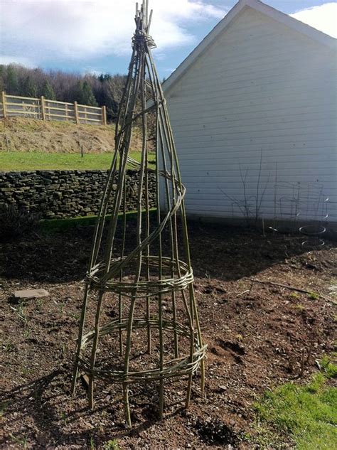 Dried Willow Plant Support Living And Dried Willow And Other Plant