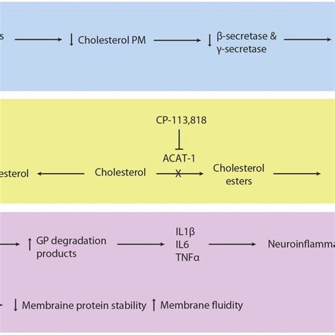 Lipid Metabolism Dysfunction In Alzheimer S Disease A Inhibition Of Download Scientific