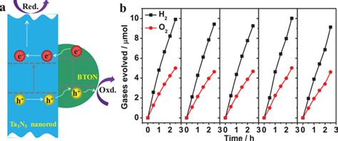 A Schematic Of The Spatial Charge Separation Of Photogenerated Charge