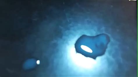 Blue Haired Trans Babe Cumshot Xxx Mobile Porno Videos Movies IPornTV Net