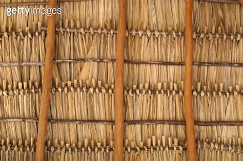 Tropical Bamboo Thatched Roof Background Pattern 이미지 1126462485 게티이미지뱅크