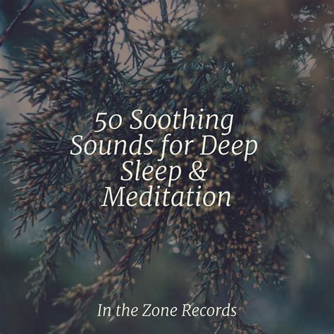 50 Soothing Sounds for Deep Sleep Meditation Música relaxante 专辑