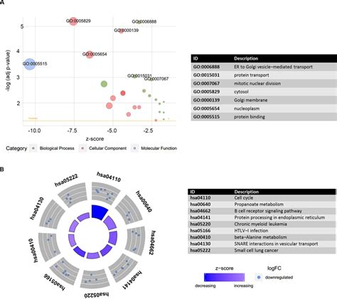 Gene Set Enrichment Analysis Gsea And Gene Set Variation Analysis