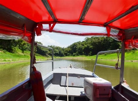 Expedições para Passeio Arquipélago de Anavilhanas na Selva Amazônia