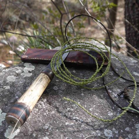 11 Bushcraft Skills Hardcore Wilderness Lovers Will Want To Master Now