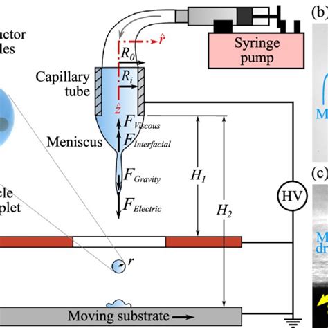 Normalized Drop Radius Vs The Ratio Between The Electric Capillary