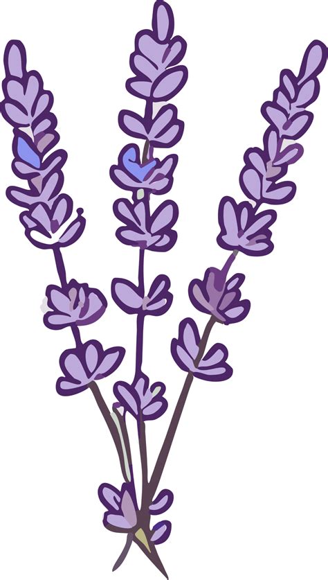 Lavender Clipart Png