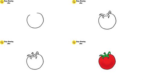 How To Draw A Tomato Step By Step