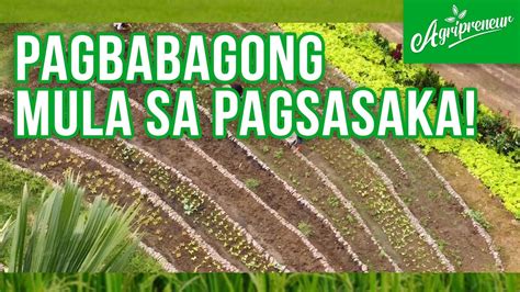 Alamin Ang Kwento Ng Lao Integrated Farms Inc YouTube