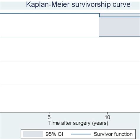 Kaplan Meier Survivorship Curve With Re Revision For Any Reason Or