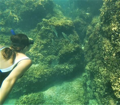 Torre Guaceto Hiking Snorkelling Between The Dunes And The Sea