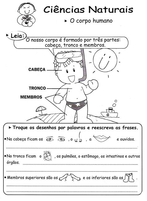 325 ATIVIDADES CORPO HUMANO 3 4 5 6 ANOS EXERCÍCIOS CIÊNCIAS PARA