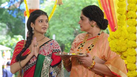 Watch Saavi Ki Savaari Season 1 Episode 339 Saavi Meets Vedika